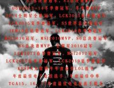 玩加电竞- kpl历史击杀榜 