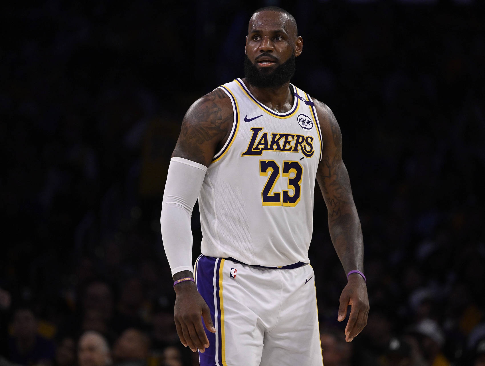 玩加竞技-关于詹姆斯回归赛场，爆冷首场状态亮眼，中国队观众沸腾！的信息