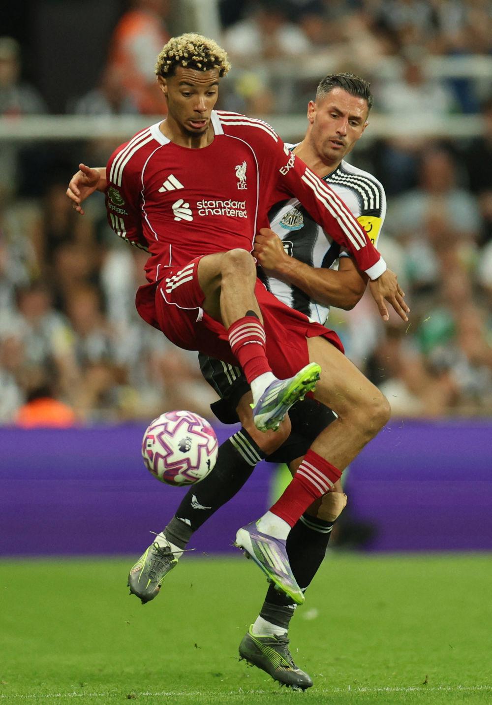 玩加电竞-Ning关键节点赛况扑朔迷离，利物浦带队取胜！的简单介绍